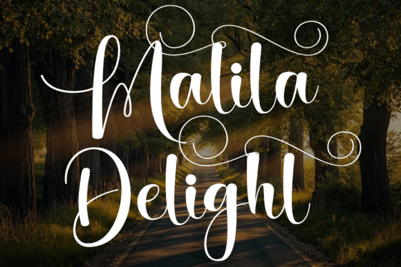 The Luxurious Allure of Malila Delight Font